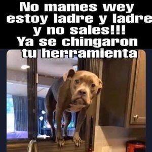 Meet your Posher, Francisco